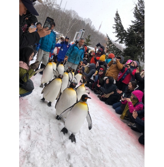 3/3 獅子家庭旅遊-日本北海道破冰船之旅